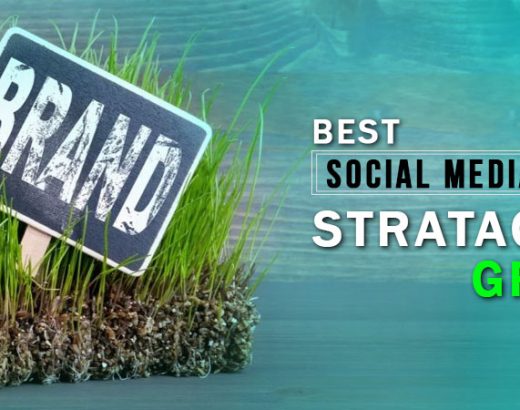 best social media stratigy to grow your brand - DeDevelopers