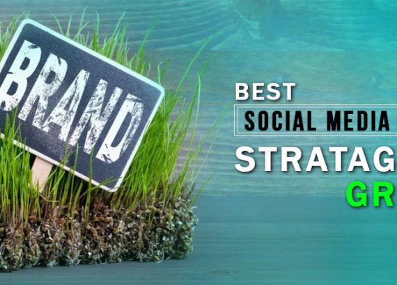 best social media stratigy to grow your brand - DeDevelopers