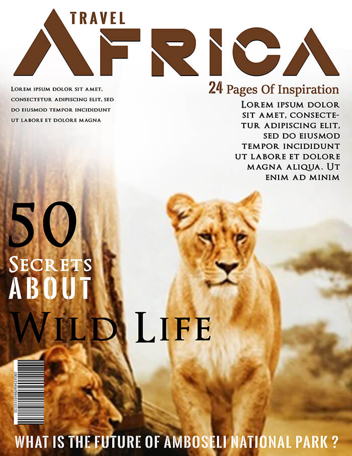 Travel Africa Magazine Cover