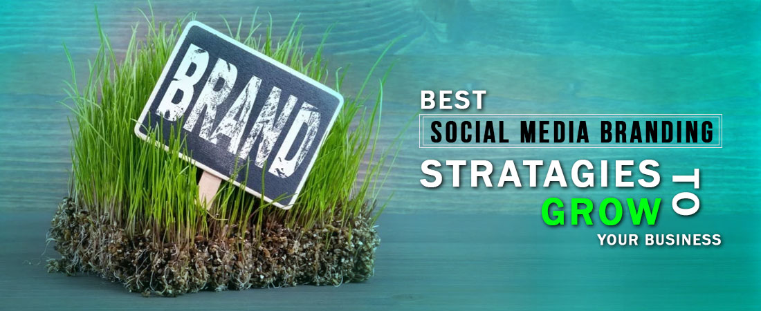 best social media stratigy to grow your brand - DeDevelopers